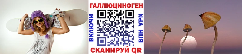 где купить   Порхов  Галлюциногенные грибы прущие грибы 